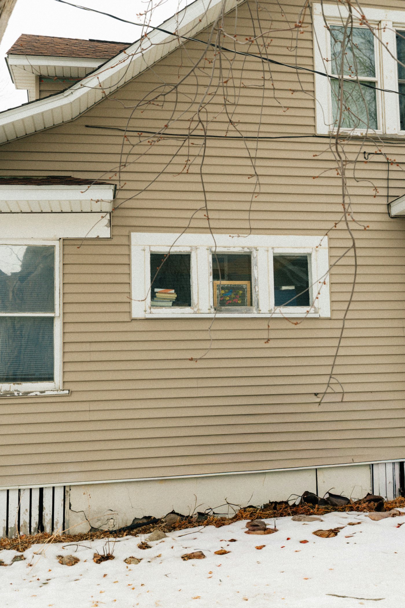 Freshly painted house exterior with white trim
